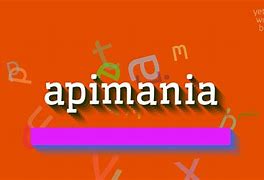 Image result for apimania