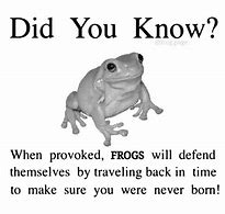 Image result for Weird Frog Meme