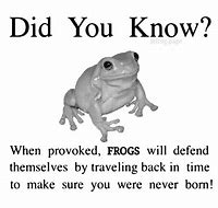 Image result for Cool Frog Meme