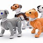 Image result for Sony Aibo Carrier