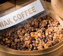 Image result for Most Expensive Coffee Kopi Luwak