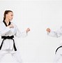 Image result for All Kinds of Martial Arts