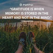Image result for Gratitude Sayings and Quotes