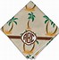 Image result for Pacific and Rose Block Prints Palm Tree Napkins