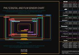Image result for DJI Sensor Size Comparison