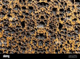 Image result for Trypophobia Texture