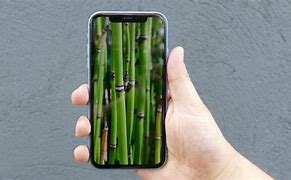 Image result for iPhone XR 2 and Hand