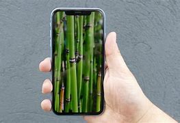 Image result for iPhone XR 2023 Model
