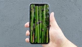 Image result for iPhone Camera XR