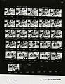 Image result for Contact Sheet 8X10 Paper Size