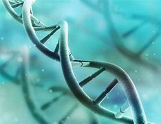 Image result for Nucleic Acid Purification