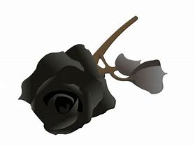 Image result for Black Rose Headphones