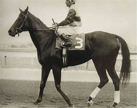 Image result for Ruffian RaceHorse