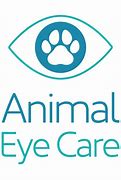 Image result for Animal Eye Contacts