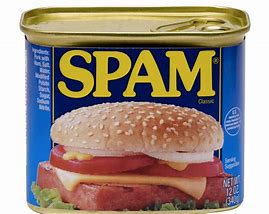 Image result for Spam Products