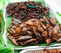 Image result for Cooked Crickets