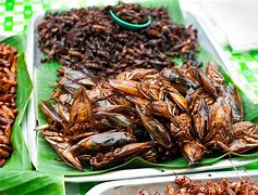 Image result for Thai Crickets Food