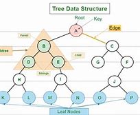Image result for Tri Data Structure