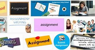 Image result for Assignment Definition