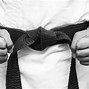 Image result for Kyokushin Karate Belts