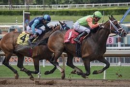 Image result for Derby Horse Racing