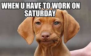 Image result for Saturday at Work Meme