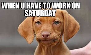 Image result for Work On Saturday Meme