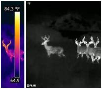 Image result for Infrared vs Thermal Imaging