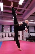 Image result for Deadly Martial Arts Kicks