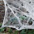 Image result for Spider Web Decorations for Halloween