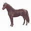Image result for Greek Horse Breeds