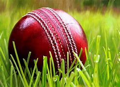 Image result for Cricket Bat and Ball Background