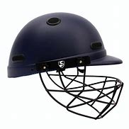 Image result for Cricket Helmet with Player