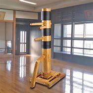 Image result for Martial Arts Training Machines