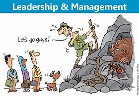 Image result for Leadership vs Management Cartoon