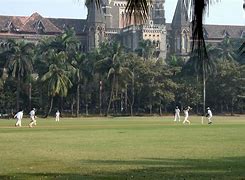Image result for Indian Kids Playing Cricket