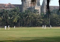 Image result for Playing Cricket