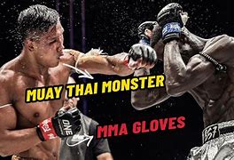 Image result for Muay Thai Knockouts