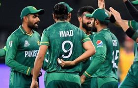 Image result for Pakistan Cricket Bat