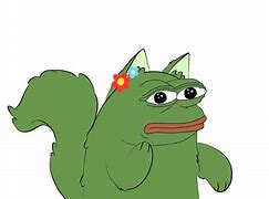 Image result for Pepe Frog Cat