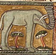 Image result for Medieval Europe Animals