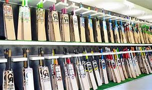 Image result for Cricket Items List