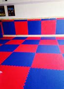 Image result for MMA Mats
