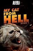 Image result for My Cat From Hell TV Show