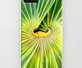 Image result for Cute iPhone 14 Cases