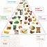 Image result for Nutrition Chart for Kids