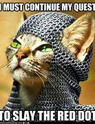 Image result for On a Quest Meme Cat