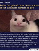 Image result for Polite Cat Know Your Meme