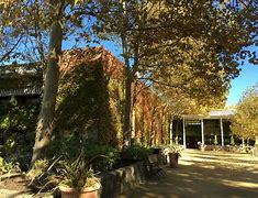 Image result for saint Supery Semillon Napa Valley