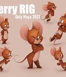 Image result for Jerry 3D Rig